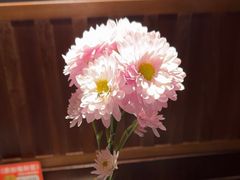 -麻六记(凤凰汇店)