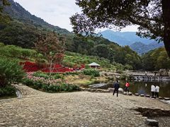 -广州市石门国家森林公园