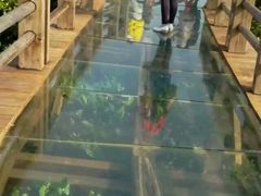 -东寨港红树林旅游区