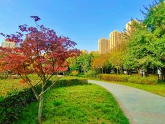-木塔寺遗址生态公园