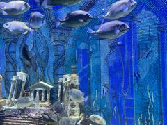 -海合安天津极地海洋公园