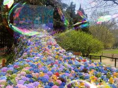 -上海共青森林公园