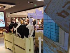 -红星前进面包牛奶公司(君太店)