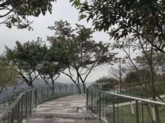 -铁山坪森林公园