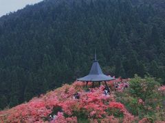 -乌石村
