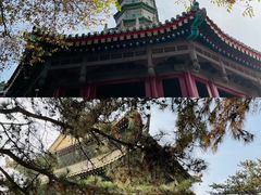 -普陀宗乘之庙