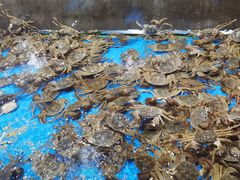 -嘉荣超市(望牛墩店)