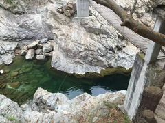 -黑河国家森林公园
