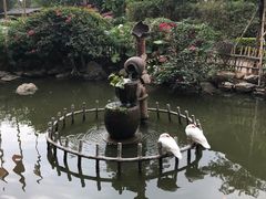 -观澜山水田园