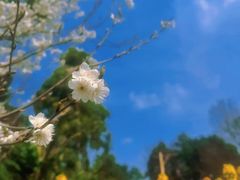 -中国天府农业博览园