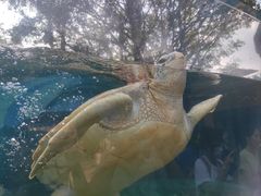 -广州海洋馆