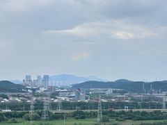 -羊山湖公园