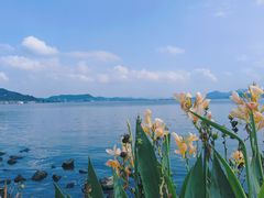 -东钱湖旅游度假区