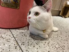 -火星工厂·桌游·团建聚会·轰趴馆(厦滘店)