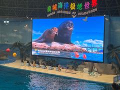 -泉城欧乐堡海洋极地世界