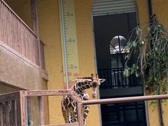 -福州动物园