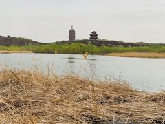 -永定河休闲森林公园