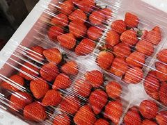 -西郊国际农产品交易中心