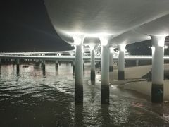 -演武大桥观景平台