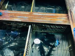 -洞密园美食城(富华路店)