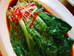 白灼罗马生菜-颐和•海鲜砂锅粥•啫啫煲(奥林匹克广场店)