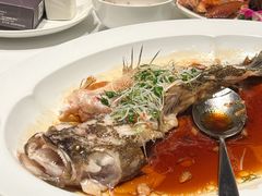 -荣兴酒家(徐家汇店)