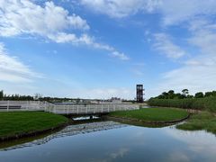 -春花秋色城市公园