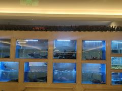 -皇朝尊会(龙之梦大酒店)