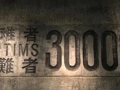 -侵华日军南京大屠杀遇难同胞纪念馆