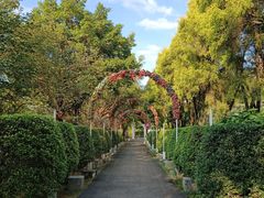 -广东花都香草世界旅游度假区