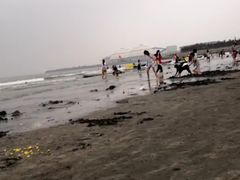 -台山黑沙湾海浴场