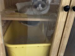 -达爱动物医院·犬猫分区·CT·复杂眼科(远洋山水分院)