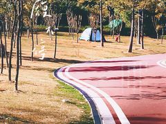 -飞凤山奥体公园