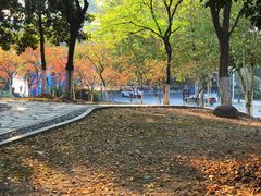 -后襄河公园