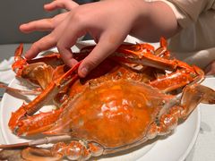 -望海湾海鲜楼·海鲜(河南路店)