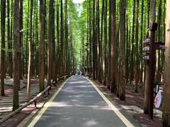 -山王坪喀斯特国家生态公园