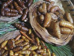 -昆虫窝子·特色云南菜(拓东路总店)