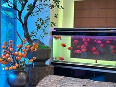 -驻海渔市(置信店)