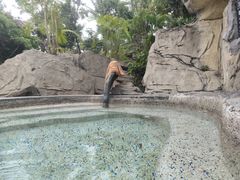 -海口观澜湖火山温泉谷