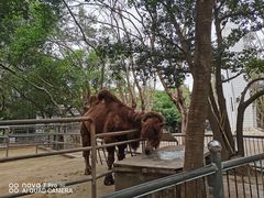 -广东茂名森林公园