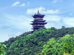 -杭州半山国家森林公园