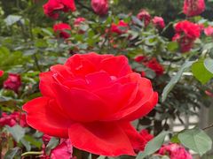 -南京东郊国宾馆