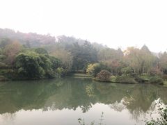 -十八棵（老龙井）御茶园(老龙井店)