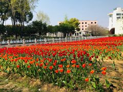 -葛仙湖公园