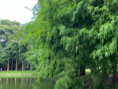 -华南国家植物园-售票处