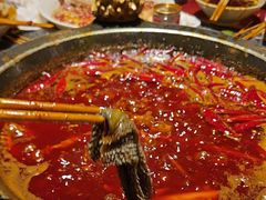 -蜀大侠火锅(总府路店)