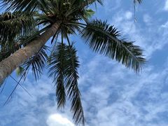 -三亚亚龙湾金棕榈度假酒店