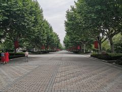 -东华大学(松江校区)