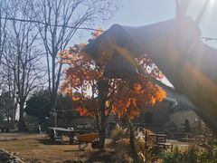 -HERRE·FARM 赫尔露营农场·团建聚会包场