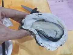 生蚝-蚝专家(北滘店)